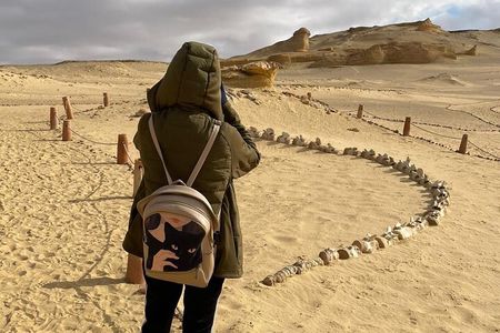 All inc Fayoum-whale V(tickets-car-guide-lunch-safari-sand.board)