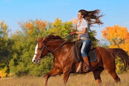 Guided Horseback Riding Adventure in Miami Countryside