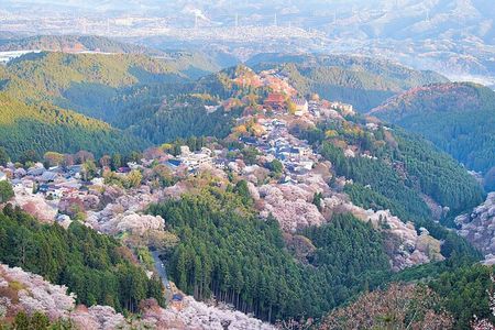 Historic and Natural Guided Hike in Yoshino