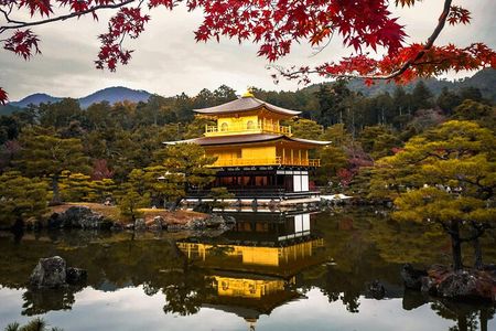 Private Day in Kyoto Customized Travel Experience in English