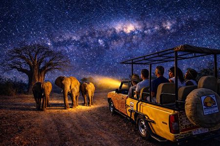 4x4 Stargazing and Moonlight Experience in the Bush