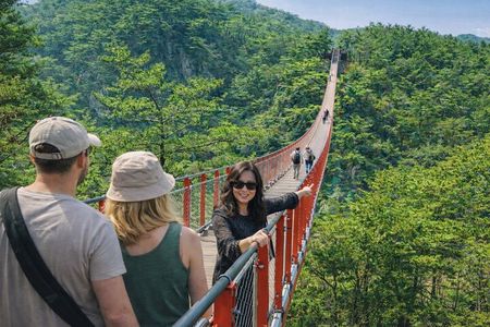 Private DMZ Tour (No Shopping): 3rd Tunnel & Suspension Bridge