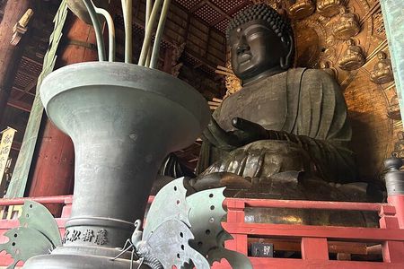 Nara Deer, Great Buddha & Traditional Mochi Experience