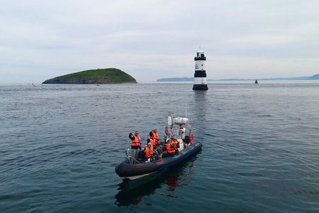 Conwy Puffin Island Wildlife Adventure