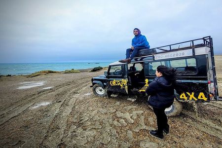 Experience 4x4 in Punta Ninfas