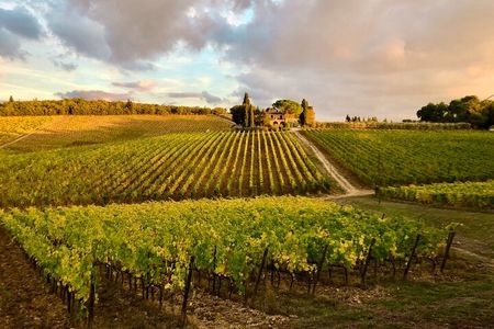 Casa Emma Wine Tasting 