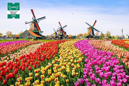 Private Zaanse Schans & Volendam Tour: Windmills, Cheese & Clogs