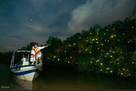 Mystical Nights Fireflies and Blue Tears Adventure Join in Tour