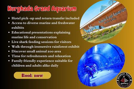 2 Hours Red Sea Wonders Tour at Hurghada Grand Aquarium