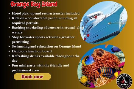 Orange Bay Snorkeling with Lunch 