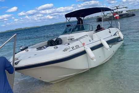 Turtles, snorkeling, beach stops, fishing, drinks included!”