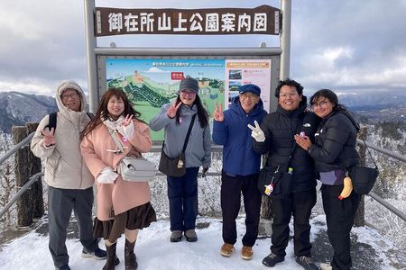 Nabana no Sato, Gozaisho Frozen Tree and Outlet Tour from Osaka