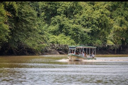 Palo Verde Wildlife Safari Boat Tour