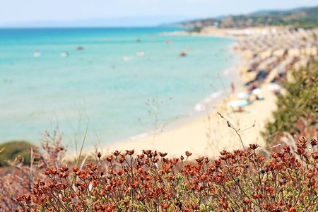 Kavala: Ammolofoi Beach Day Trip with Free Time