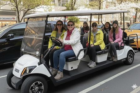 NYC: New York City Landmarks & History City Tour by Cart