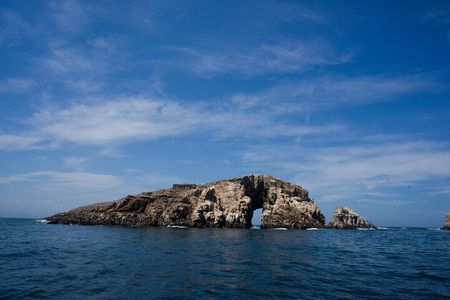 Palomino Island Swim with Sea Lions
