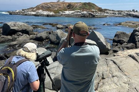 BirdWatching Mantagua Wetland&Penguins Cachagua Island From Valpo