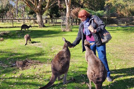 Premium Adelaide Hills Cleland Wildlife and Hahndorf Minibus Tour