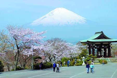 Mt. Fuji & Hakone Private Tour by Car with Licensed Guide