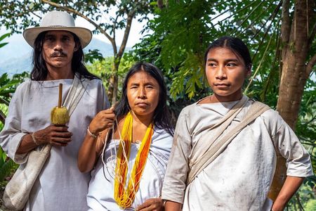 Tour of indigenous trails, coffee, cocoa, waterfalls - Minca