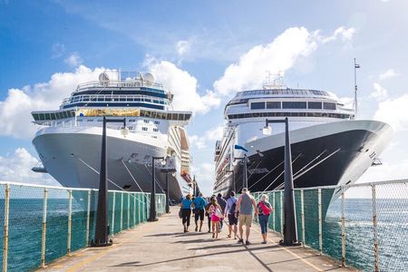 Bali Benoa Shore Excursions Private Ubud Tour 