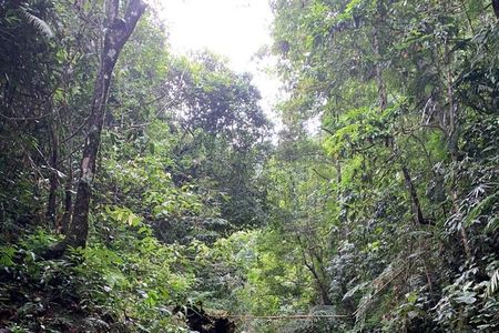 Vietnam Jungle Survival and Camping