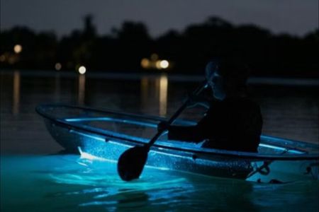 Clear Kayaks on BioBay