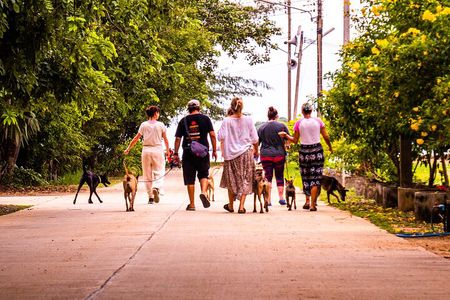 Rescue P.A.W.S. Day Visit 