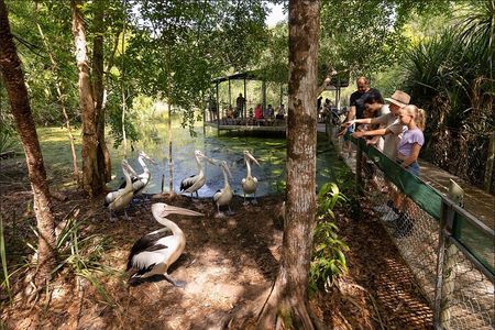 Near Darwin Territory Wildlife Park General Entry