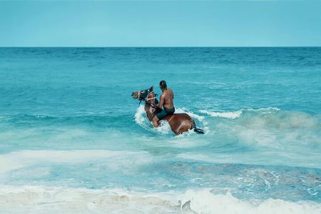 Bahamas, Beach Horseback Riding & Ocean Swim Experience