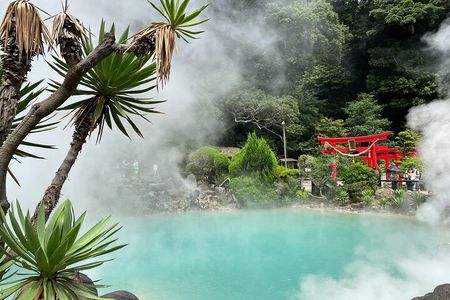 Beppu 7 Hells Private Tour