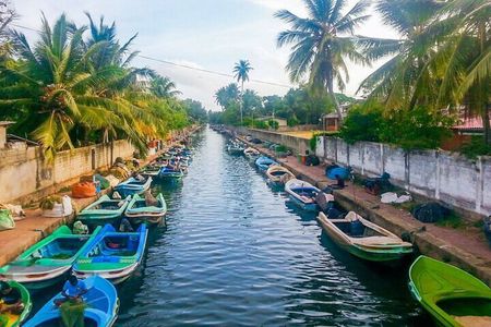Negombo to Colombo: Hamilton Canal Boat Ride & City Tour