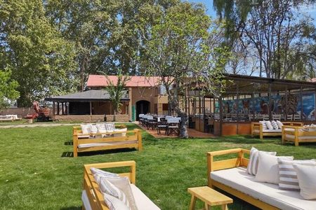 Maipu Wine Tour: 3 Wineries and Olive Oil Factory