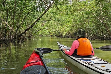 Kayaking Tour - Bay of Paraty & Manguezal
