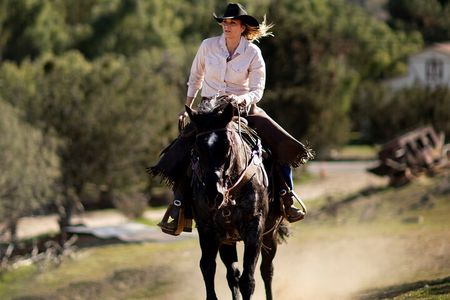Argentina, Pampas: Gaucho Horseback Ride and Lunch & Transport