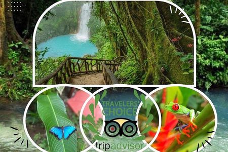 Private Rio Celeste Waterfalls Expedition Costa Rica