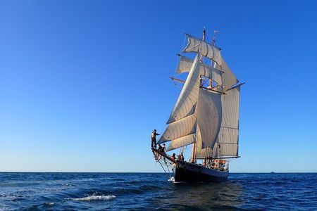 Bay of Islands Tall Ship Sailing on R. Tucker Thompson Including BBQ Lunch