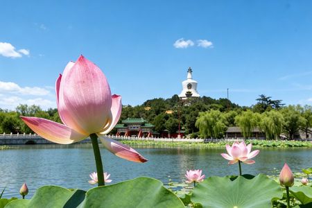 2-Hour Beijing Private Jingshan Coal Hill Park and Beihai Park Walking Tour