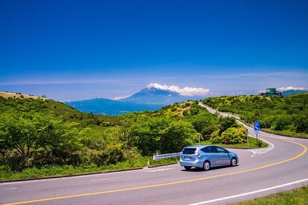 Mt. Fuji and Hakone Private Day Tour by Bullet Train and Car 