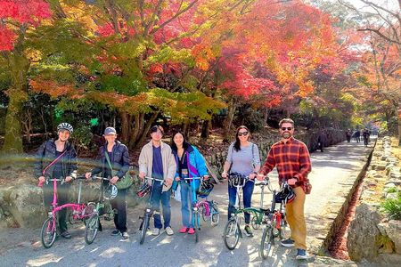 Slow Cycling Tour at Uji's Matcha Green Tea Fields and Heritage