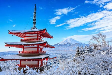 From Tokyo: Mount Fuji Sightseeing One Day Trip