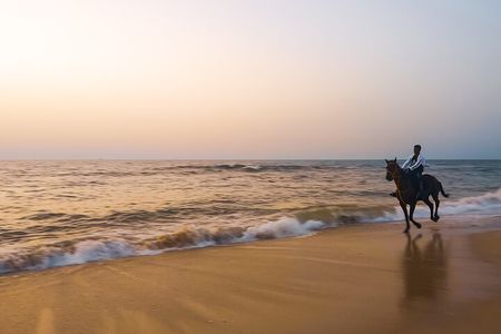 Noordhoek: Private Beach Horseback Riding in Cape Town