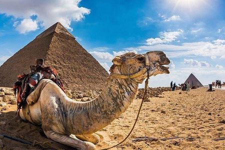 Full day Pyramids of giza&Sphinx & free Camel Ride&Flucca& Lunch