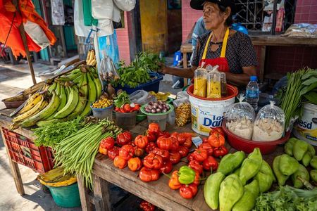Belén Tour: Exotic Market, Floating City & Amazonian Life