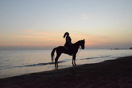 Horse Riding in Side - Horse Tour in Manavgat Forest and Beach