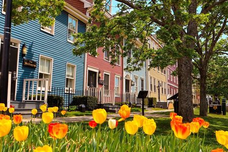 2 Hour E-bike tour of Charlottetown