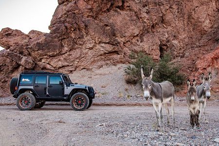 4-Hour Guided Off-Road Adventure to Wild Horses and Old Saloon