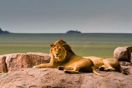  3 Day Flyin/Flyout of Zanzibar Tarangire, Ngorongoro & Manyara 