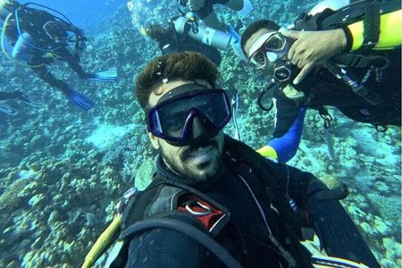 Hurghada Scuba Diving Trip 2 Dive Stop Lunch With Transfers