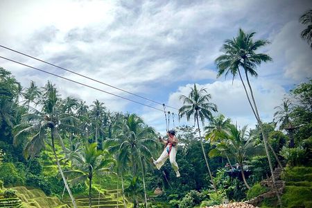 Ubud Zipline,Alas Harum and Waterfall Tour with Private Car, Bali